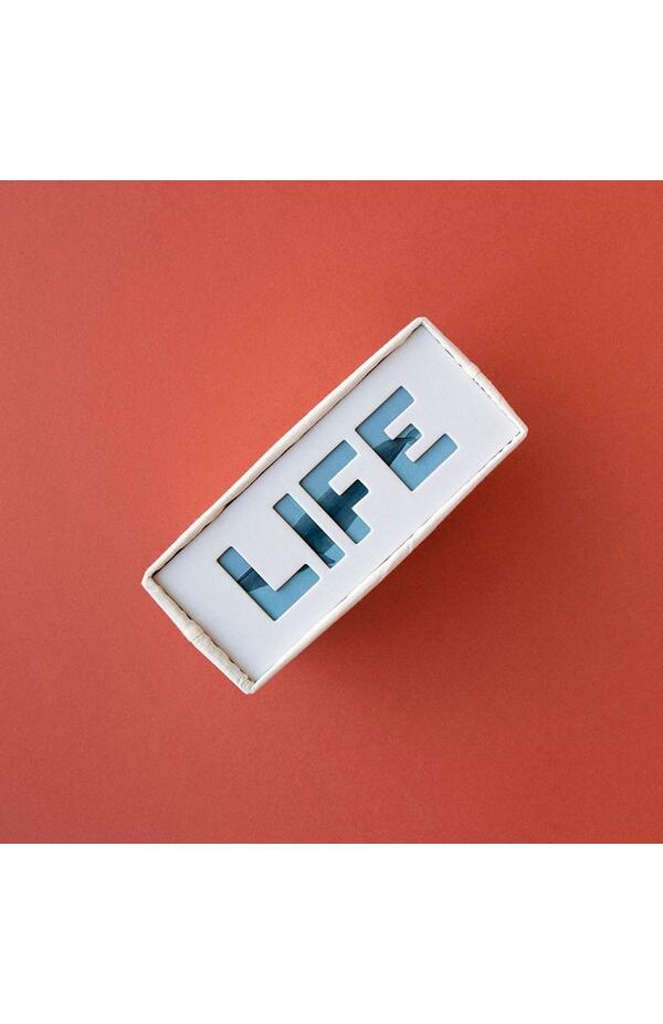 Puzzle Viata in salbaticie, Londji