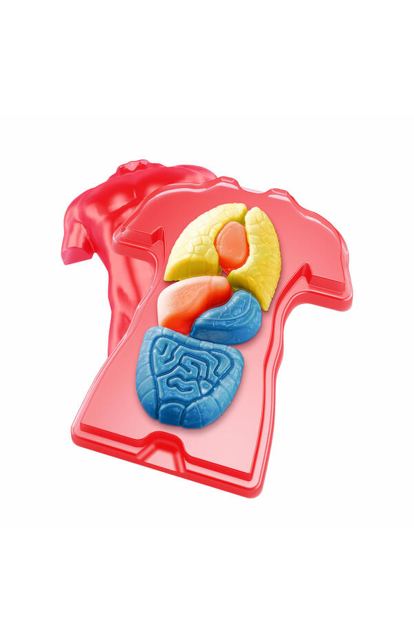 Kit STEM Organele corpului uman, Thames & Kosmos