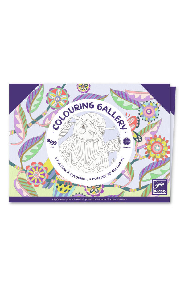 Mapa cu 3 postere de colorat Pasari, Djeco