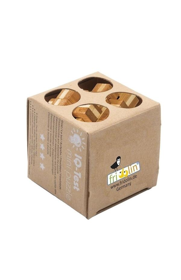 Joc logic IQ 3D Puzzle Ananas, Fridolin