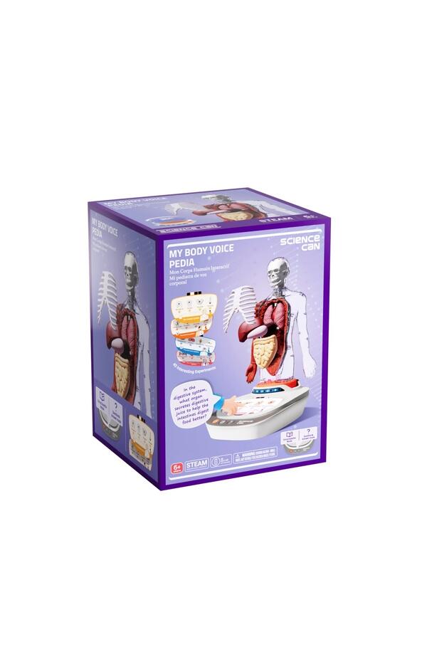 Joc STEM Anatomia umana, TopBright Joc STEM Anatomia umana, TopBright