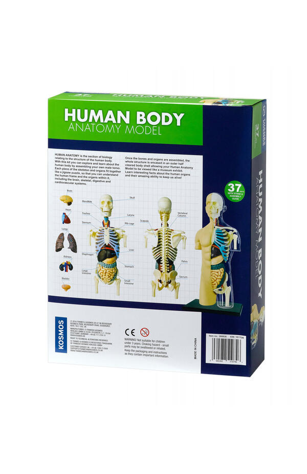 Kit STEM Anatomia corpului uman, Thames & Kosmos