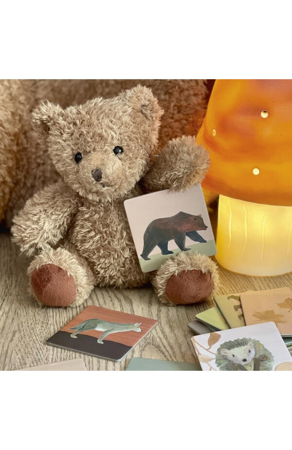 Joc memo Padure, Egmont Toys