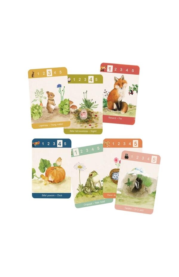 Joc de strategie Happy families, Moulin Roty