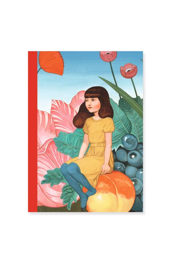 Set 2 carnetele Fedora, Djeco