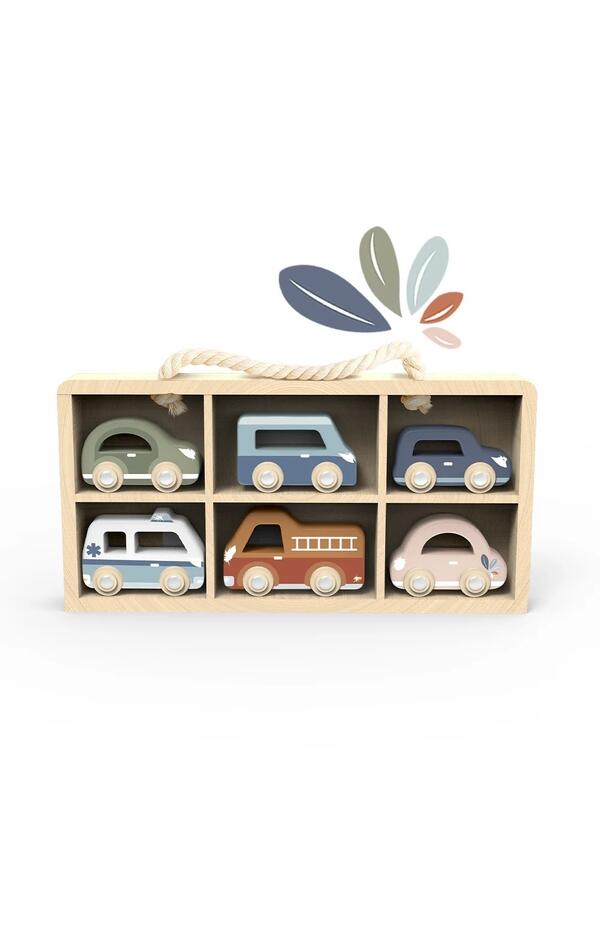 Set de 6 masinute din lemn, Speedy Monkey