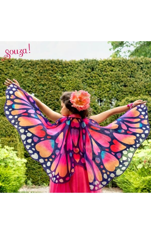 Aripi de fluture, Souza!