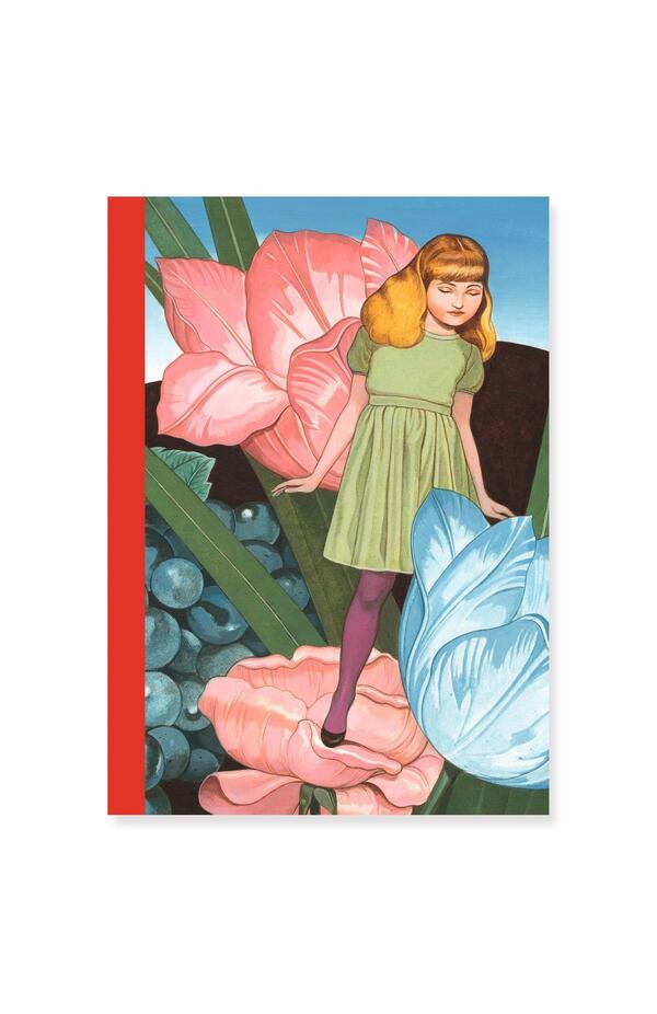 Set 2 carnetele Fedora, Djeco