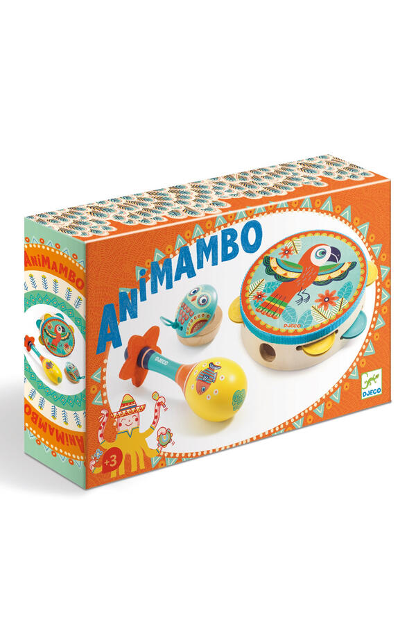 Set instrumente muzicale, Djeco