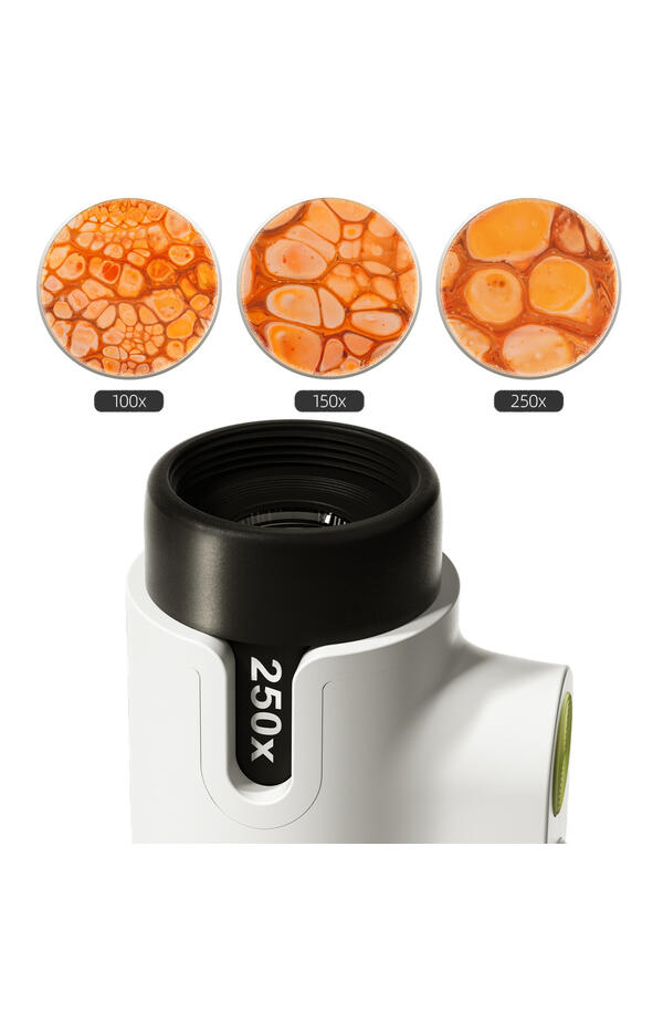 Joc STEM Microscop 250, TopBright