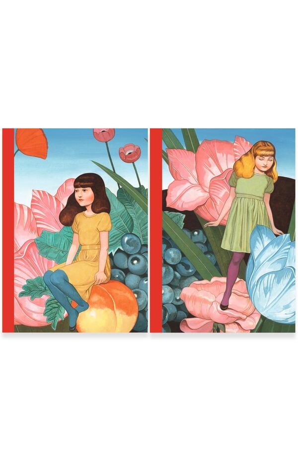 Set 2 carnetele Fedora, Djeco