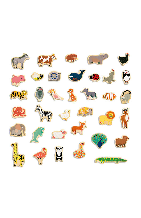 Joc cu magneti Animale din intreaga lume, Djeco