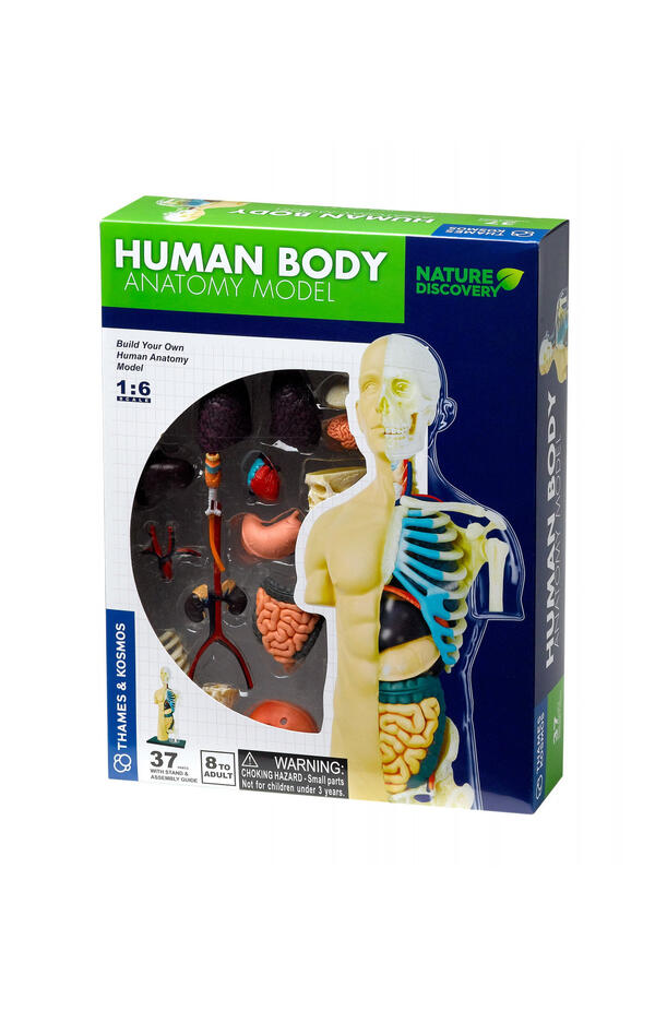 Kit STEM Anatomia corpului uman, Thames & Kosmos