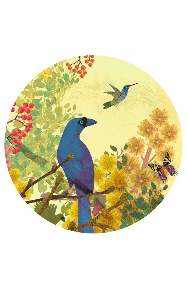 Puzzle galerie Paradis tropical , Djeco Puzzle galerie Paradis tropical , Djeco