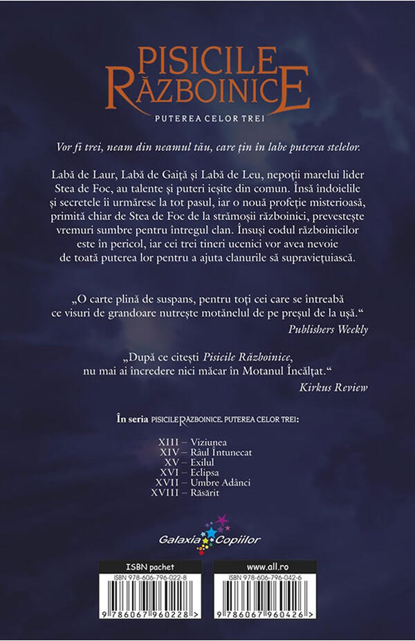 Pisicile razboinice - vol. Xlll - Puterea celor trei - cartea 1 - Viziunea