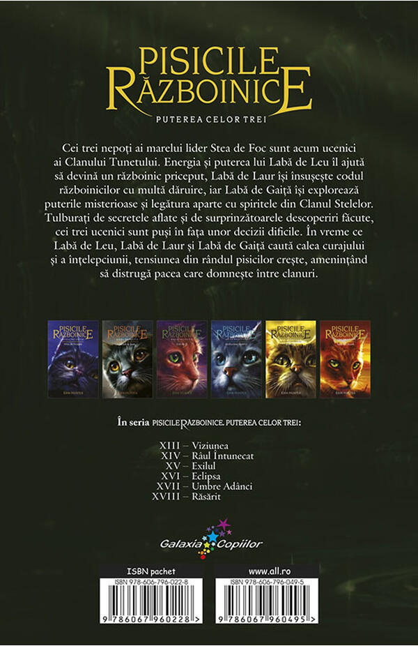 Pisicile razboinice - vol. XlV - Puterea celor trei - cartea 2 - Raul intunecat
