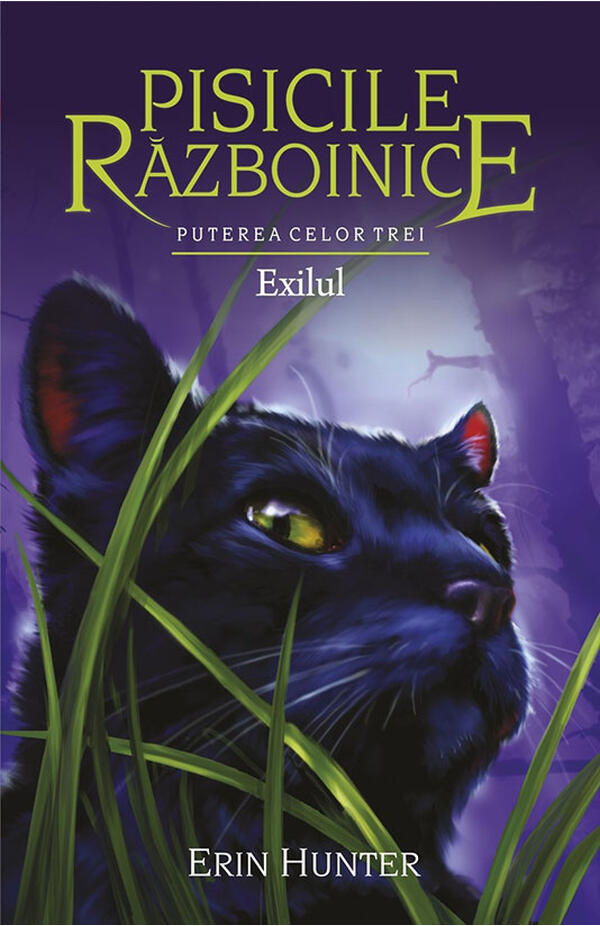 Pisicile razboinice - vol. XV - Puterea celor trei - cartea 3 - Exilul
