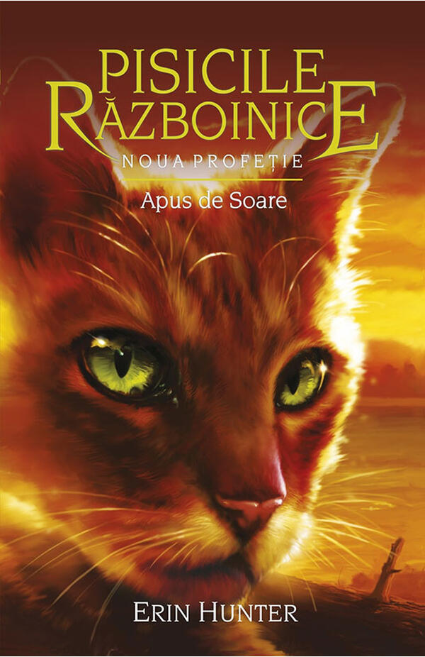 Pisicile razboinice - vol. Xll - Noua profetie - cartea 6 -  Apus de Soare