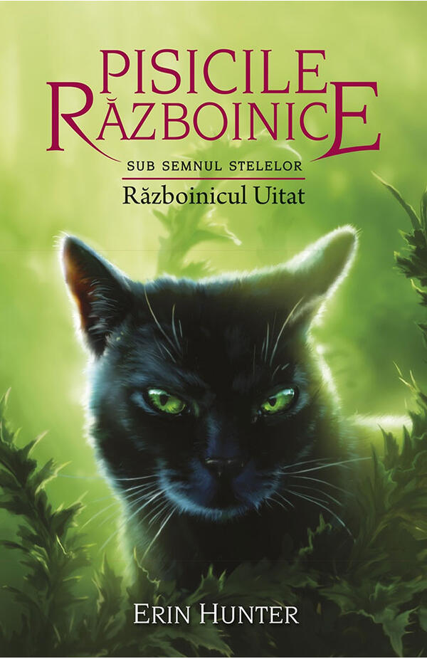 Pisicile razboinice - vol. XXIII - Sub semnul stelelor - cartea 5 - Razboinicul uitat