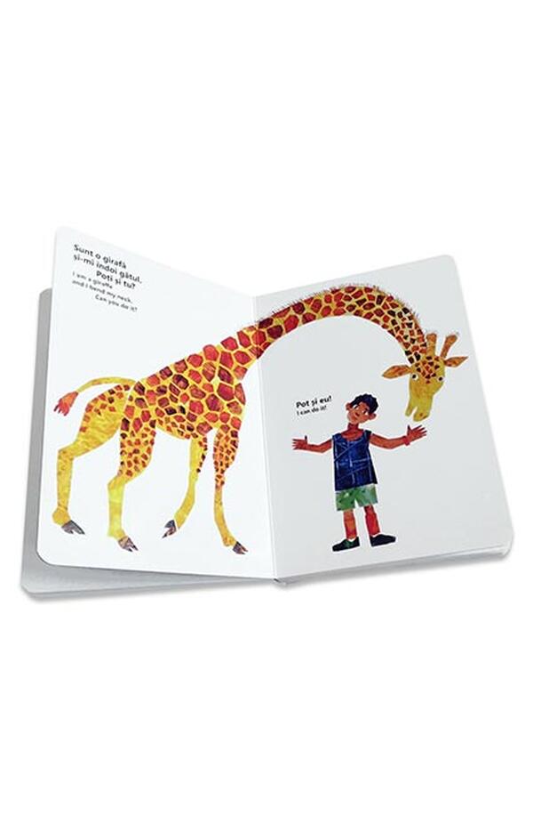 Din cap pana in picioare