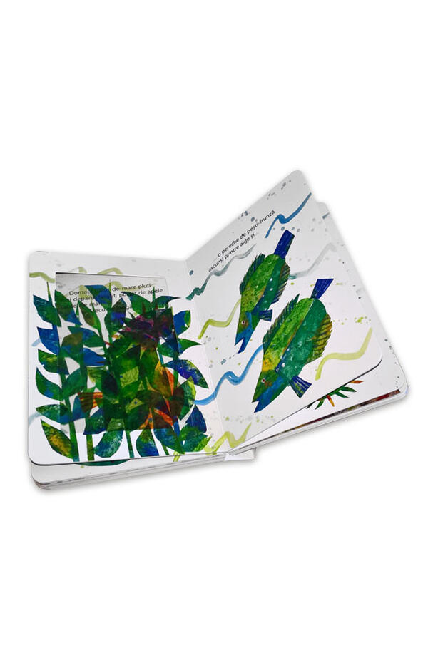 Domnul Calut-de-mare