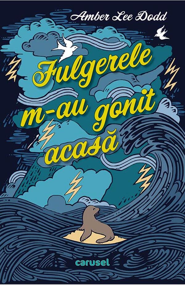 Fulgerele m-au gonit acasa