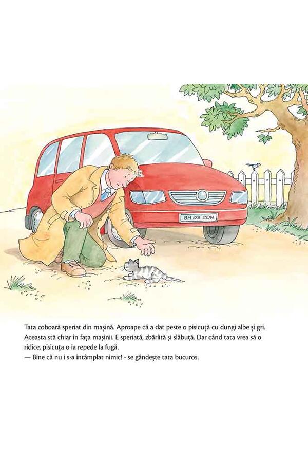 Conni primeste o pisica