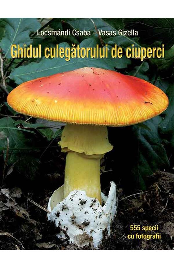 Ghidul culegatorului de ciuperci