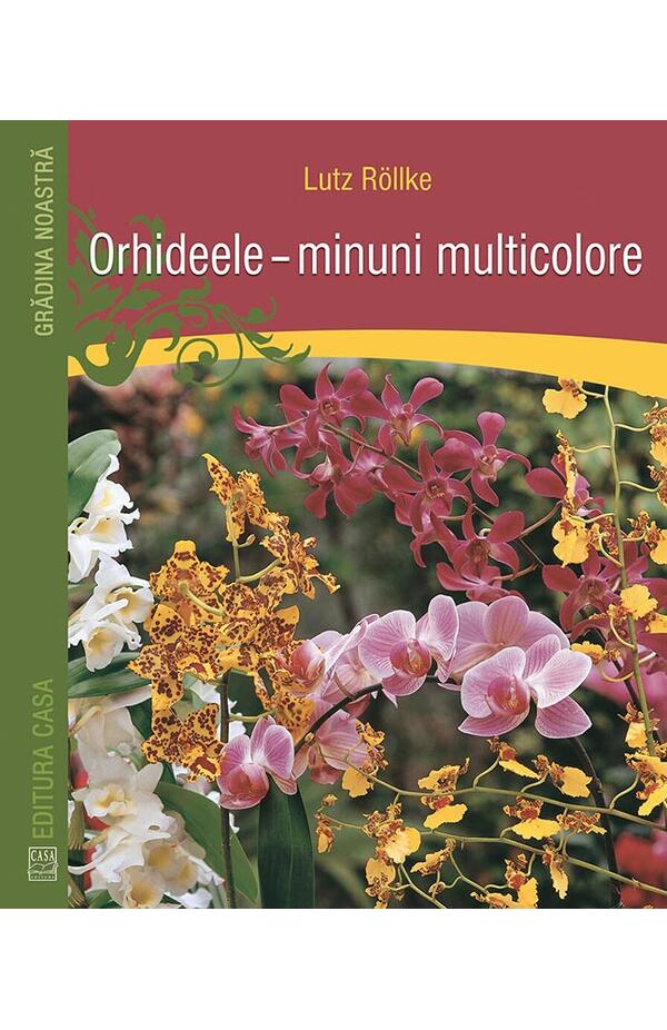 Orhideele - minuni multicolore
