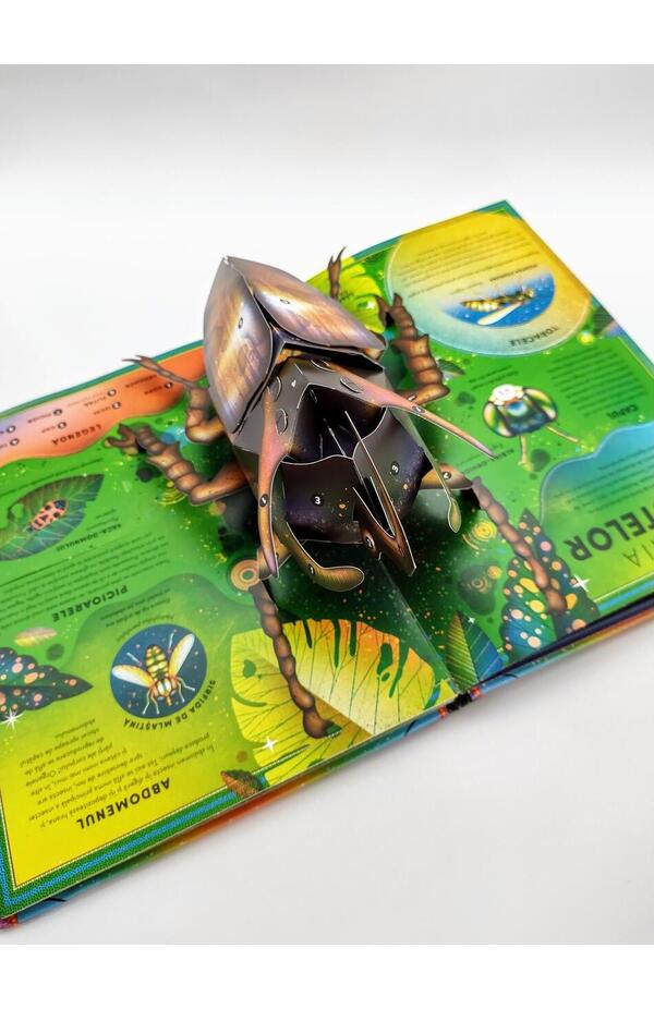 Coperta Formidabila carte cu gândaci și alte gângănii de Ben Hoare, Editura Casa