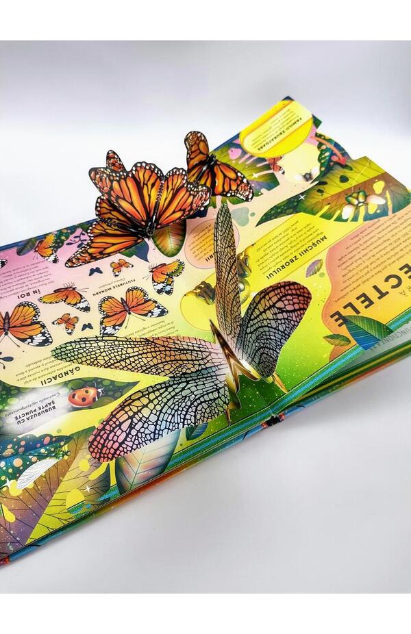 Coperta Formidabila carte cu gândaci și alte gângănii de Ben Hoare, Editura Casa