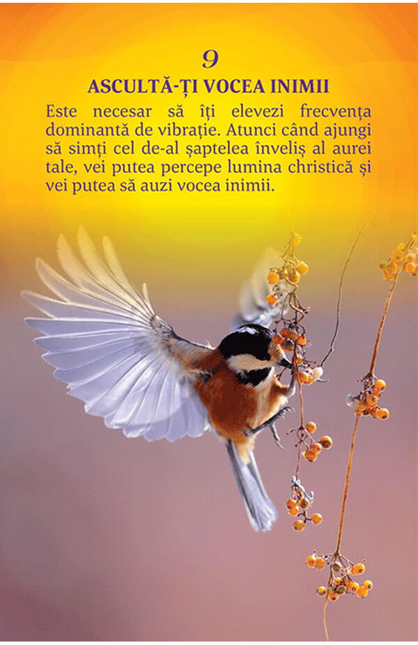 Oracolul Arhanghelului Gabriel