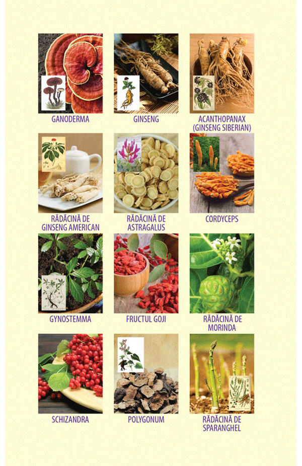 Sanatatea deplina, radioasa, autor Raphael Gabuthelon