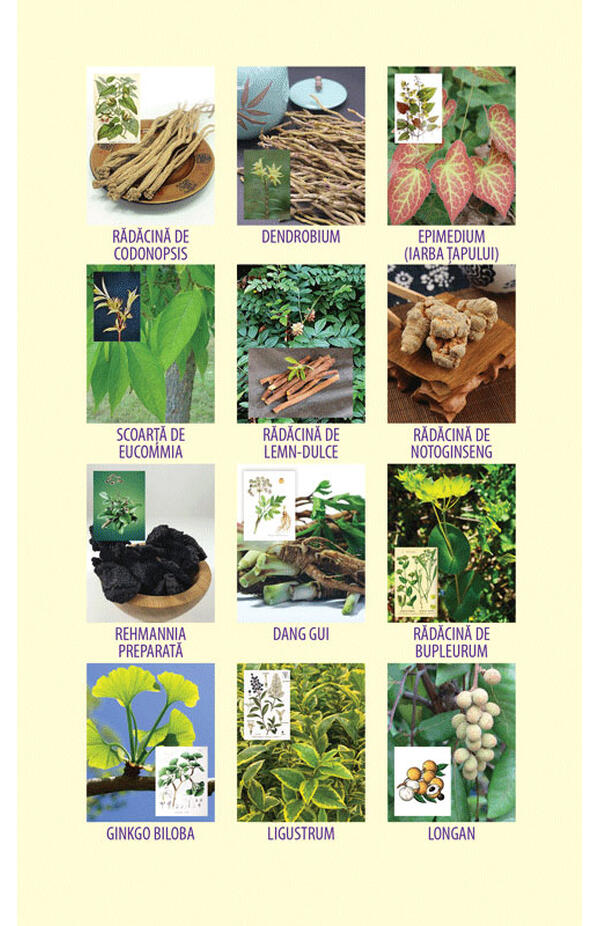 Sanatatea deplina, radioasa, autor Raphael Gabuthelon