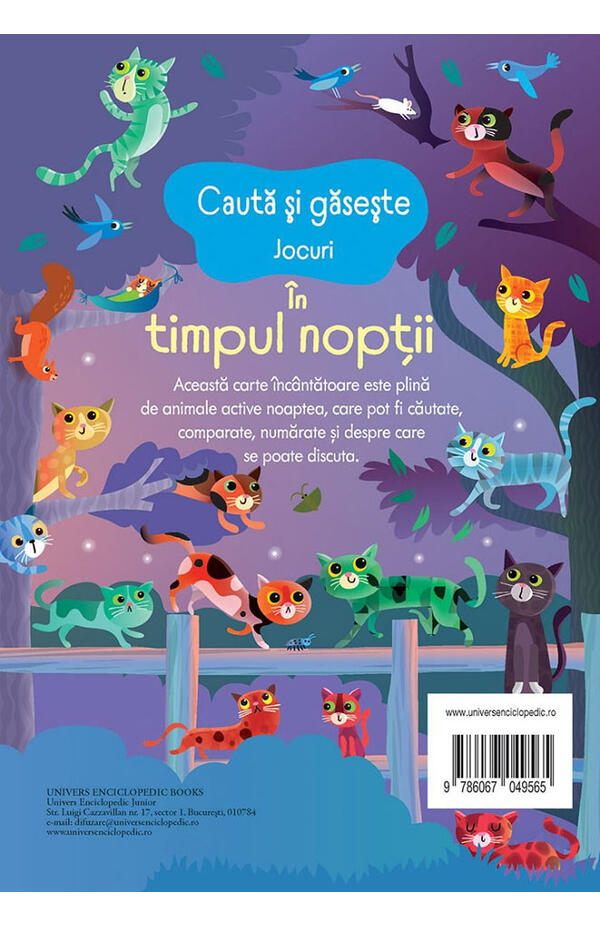 Cauta si gaseste - Jocuri - In timpul noptii