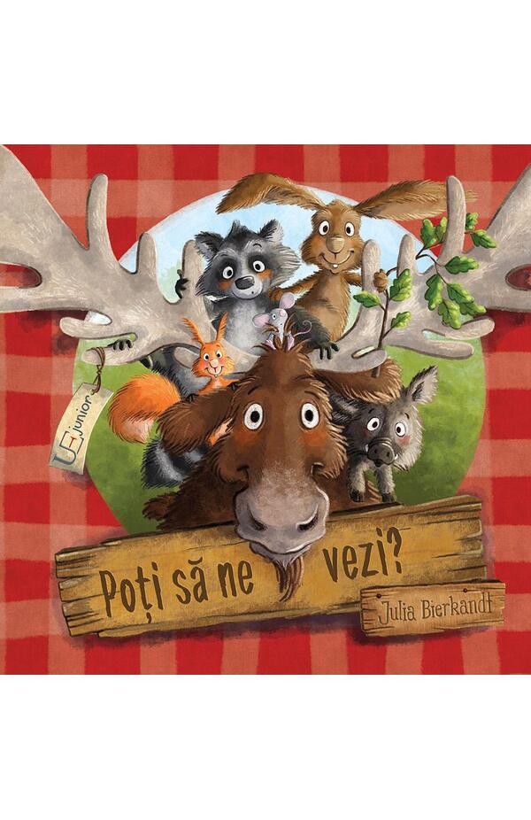 Poti sa ne vezi?, autor Julia Bierkandt
