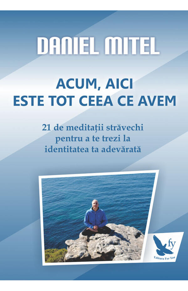 Coperta cărții Acum, aici este tot ceea ce avem de Daniel Mitel